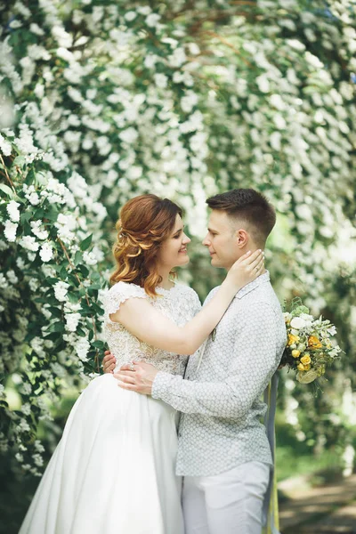 Glad bröllop par promenader i en botanisk park — Stockfoto