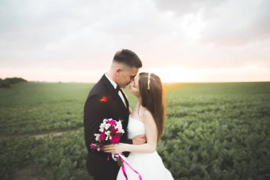 Güzel bir düğün çifti, gelin ve damat gün batımında sahada poz veriyorlar.