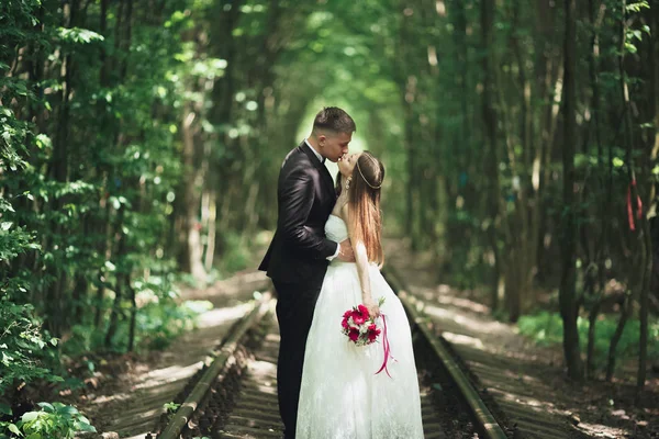 Lujo elegante joven novia y novio en el fondo primavera soleado verde bosque — Foto de Stock