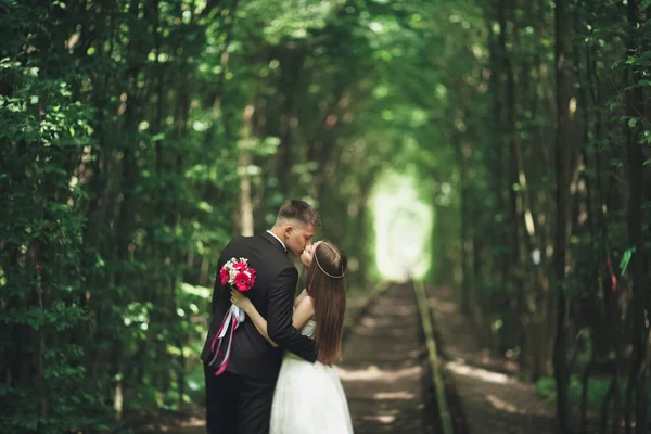 Gyönyörű, tökéletes pár az esküvő napján pózol — Stock Fotó