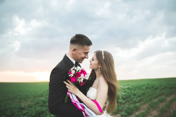 Hermosa pareja de boda, novia y novio posando en el campo durante la puesta del sol —  Fotos de Stock