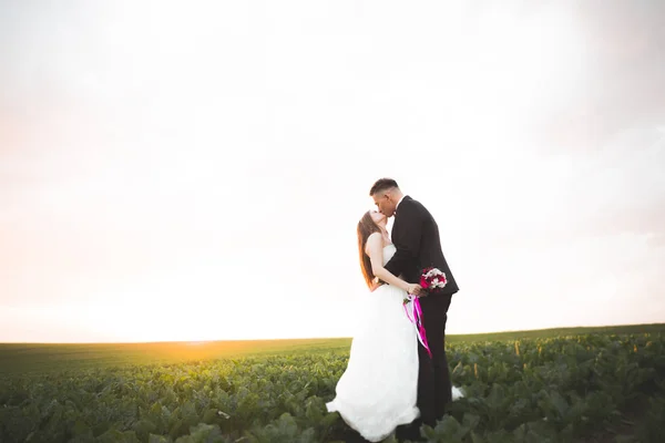 Casal encantador jovem noiva e noivo no fundo por do sol. Céu bonito — Fotografia de Stock