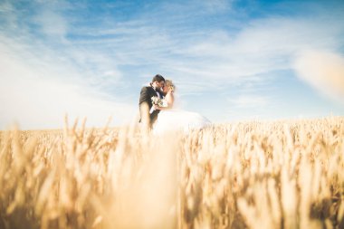 Şık şık mutlu sarışın gelin ve muhteşem damat buğday alan arka plan mavi gökyüzüne üzerinde poz