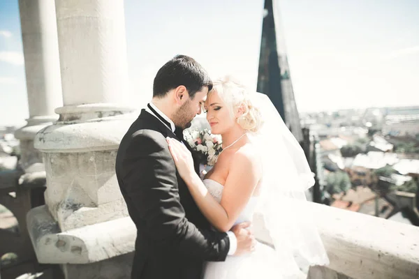 Casal de casamento beijando ficar sobre bela paisagem — Fotografia de Stock