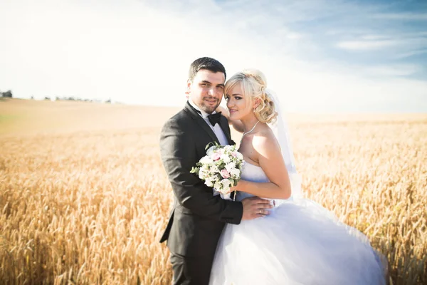 Hermosa pareja de boda, novia y novio posando en el campo de trigo con cielo azul —  Fotos de Stock