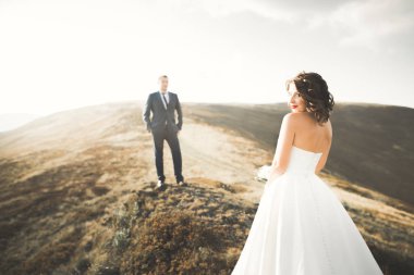 Güzel dağlarda poz veren mutlu bir düğün çifti.