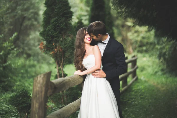 Casal elegante de recém-casados felizes posando no parque em seu dia do casamento — Fotografia de Stock