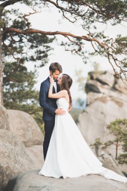 Öpüşme ve sarılma mutlu evlilik çift yüksek bir uçurum yakın: