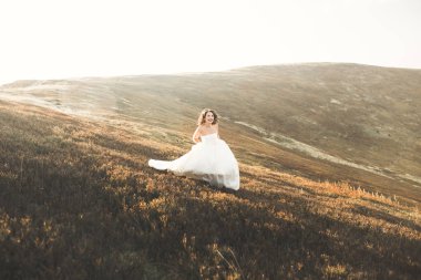 Mükemmel manzaralı günbatımında bir yaz çayır üzerinde dışında mutlu güzel gelin