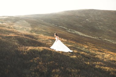 Mutlu, güzel, genç gelin gün batımında bir çayırda.