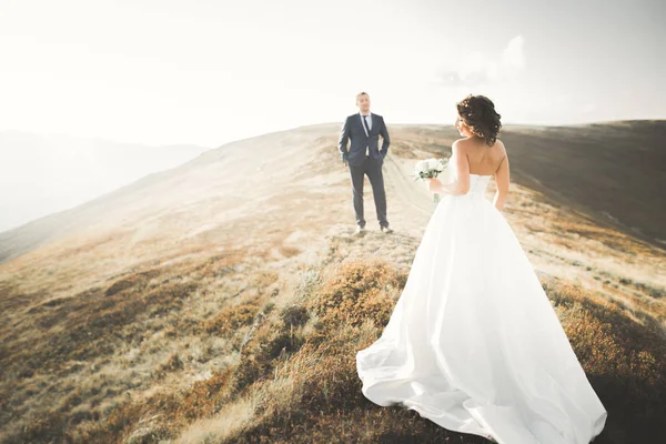 Giovane coppia appena sposata, sposa e sposo baciare, abbracciando sulla vista perfetta delle montagne, cielo blu — Foto Stock