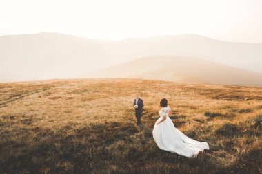 Güzel dağlarda poz veren mutlu bir düğün çifti.