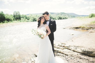 şık şık mutlu esmer gelin ve dağlarda güzel bir şelale arka plan üzerinde muhteşem damat