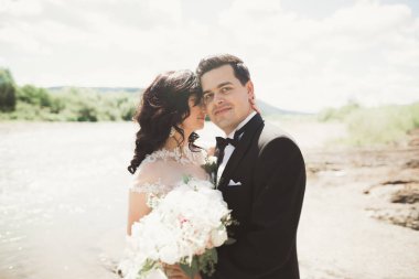 şık şık mutlu esmer gelin ve dağlarda güzel bir şelale arka plan üzerinde muhteşem damat