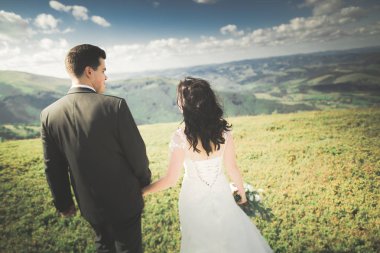 Genç Düğün çifti Dağları arka plan üzerinde el ele tutuşarak aşk