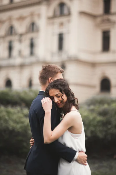 Hermosa pareja de boda, novia, novio besándose y abrazándose contra el fondo del teatro — Foto de Stock