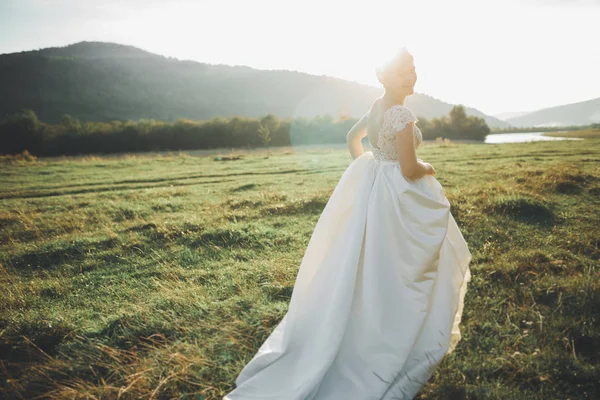 Novia en vestido de novia posando sobre hierba con hermoso paisaje de fondo —  Fotos de Stock
