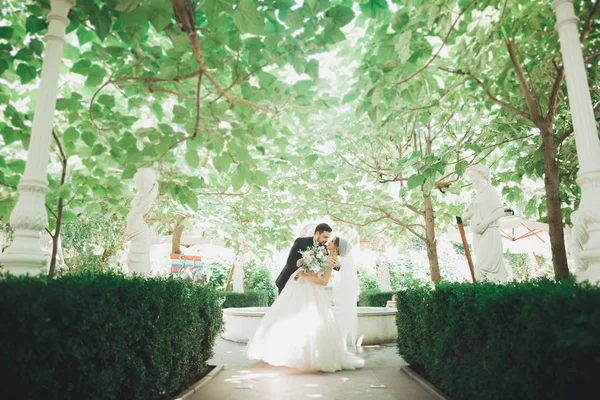 Прекрасная романтическая свадебная пара молодоженов, обнимающихся в зеленом парке — стоковое фото