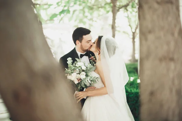 Mooie romantische bruidspaar van newlyweds knuffelen in groen park — Stockfoto