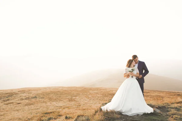 Glückliches Hochzeitspaar posiert über schöner Landschaft in den Bergen — Stockfoto