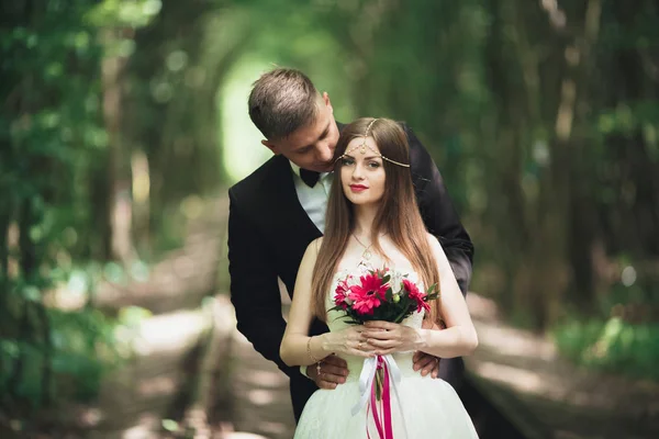 Casal recém-casado romântico beijando na floresta de pinheiros — Fotografia de Stock