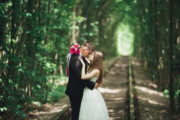 Bacio appassionato degli sposi qualcosaerano nel parco al tramonto — Foto Stock