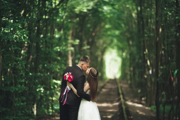Прекрасная, идеальная пара позирует в день своей свадьбы — стоковое фото