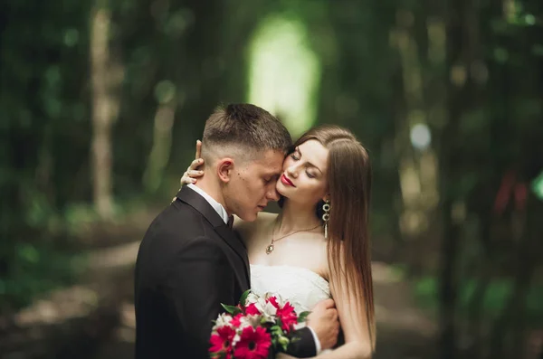 Romantische jonggehuwde paar zoenen in dennenbos — Stockfoto