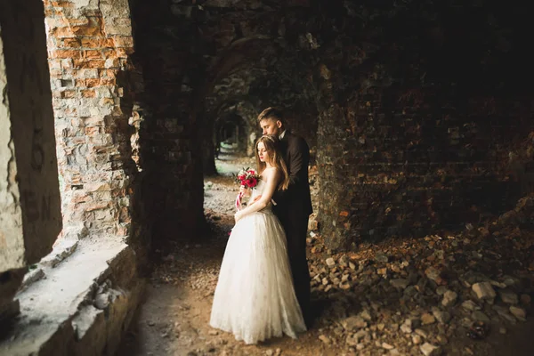 在巴洛克古堡的背景上，令人惊奇的快乐、温文尔雅、美丽、浪漫的高加索夫妇 — 图库照片