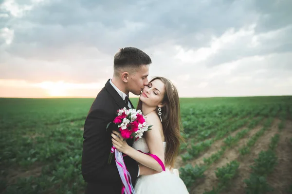Hermosa pareja de boda, novia y novio posando en el campo durante la puesta del sol — Foto de Stock