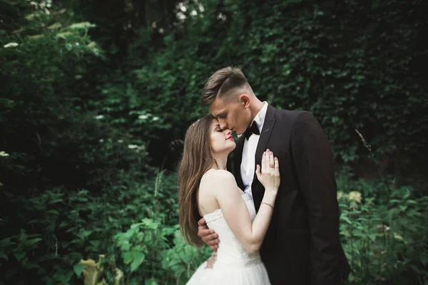 Vista desde hojas verdes en una pareja de boda besándose —  Fotos de Stock