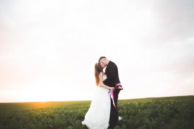 Güzel çift genç gelin ve damat günbatımı arka plan üzerinde. Güzel gökyüzü