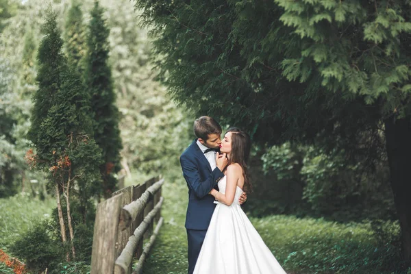 Casal elegante de recém-casados felizes posando no parque em seu dia do casamento — Fotografia de Stock