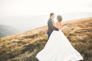 Güzel dağlarda poz veren mutlu bir düğün çifti.