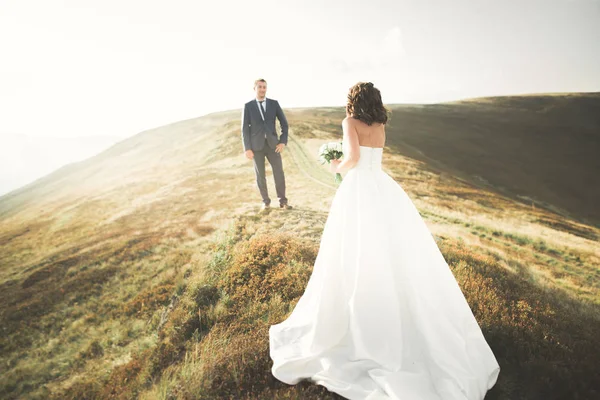 Hochzeitspaar posiert bei Sonnenuntergang am Hochzeitstag. Braut und Bräutigam verliebt — Stockfoto