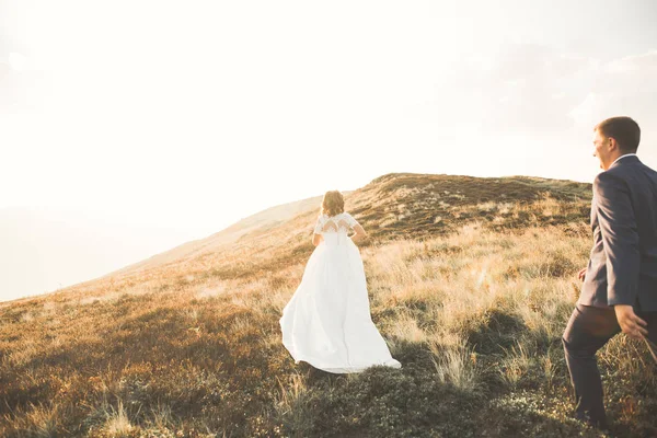 Glückliches Hochzeitspaar posiert über schöner Landschaft in den Bergen — Stockfoto