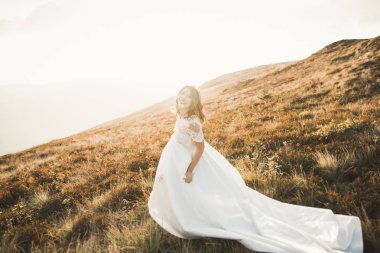 Mükemmel manzaralı günbatımında bir yaz çayır üzerinde dışında mutlu güzel gelin