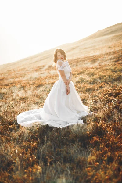 Felice bella sposa fuori su un prato estivo al tramonto con vista perfetta — Foto Stock