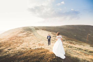 Güzel dağlarda poz veren mutlu bir düğün çifti.