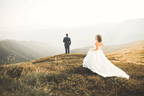 Casal de casamento posando no pôr do sol no dia do casamento. Noiva e noivo apaixonados — Fotografia de Stock