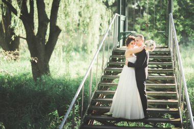 Yeşil park sarılma yeni evli çiftin güzel romantik düğün