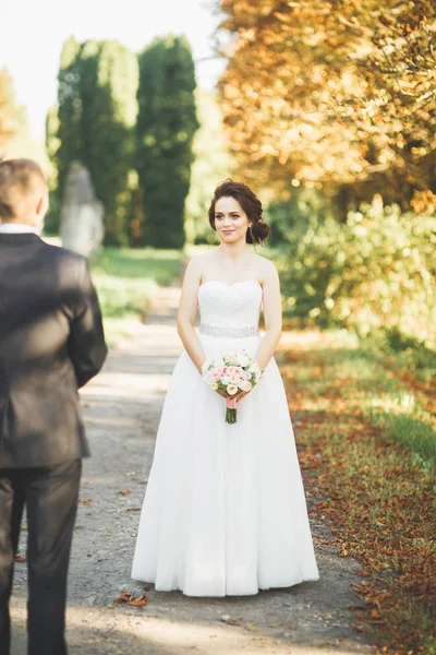 Mutlu düğün çift gelin ve damat bir botanik parkında poz — Stok fotoğraf