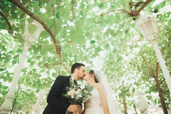 Bella coppia di sposi romantici che si abbracciano nel parco verde — Foto Stock