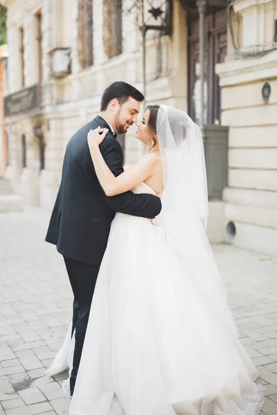 Romantische Paare tanzen und küssen auf ihrer Hochzeit — Stockfoto