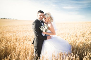 Alanına, aşık veya yeni evli ile poz güzel çift mavi gökyüzü mükemmel