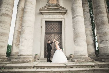 Güzel, romantik bir düğün. Yeni evliler. Eski kalenin yakınlarında sarılıyorlar.