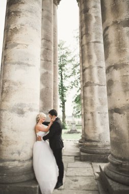 Mutlu düğün kaç sarılma ve öpüşme üzerinde arka plan eski kale