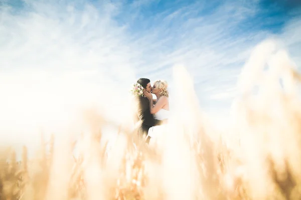 Krásné svatební pár, nevěsta a ženich pózuje na pšeničné pole s modrou oblohou — Stock fotografie