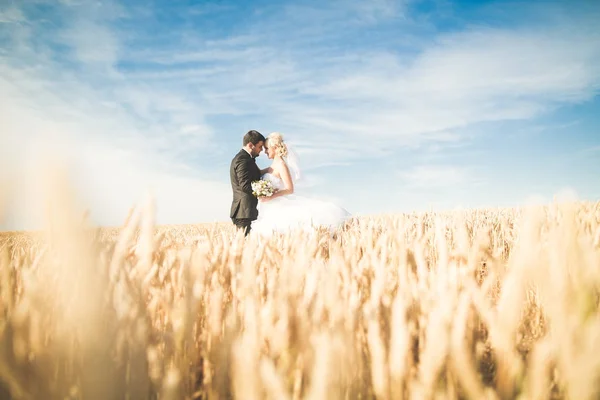 Casal de casamento bonito, noiva e noivo posando no campo de trigo com céu azul — Fotografia de Stock