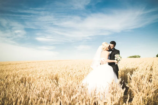 Hermosa pareja en el campo, Amantes o recién casados posando con el cielo azul perfecto — Foto de Stock